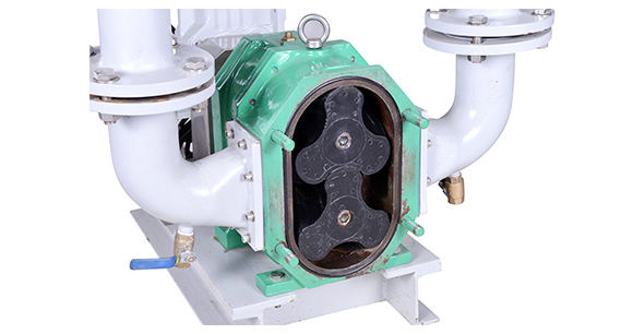 強(qiáng)自吸轉(zhuǎn)子泵