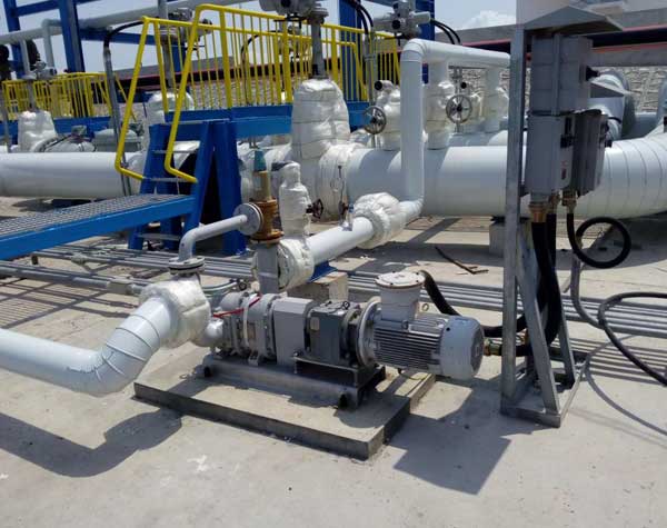 怎么確定不銹鋼凸輪轉(zhuǎn)子泵型號是否符合使用需求?