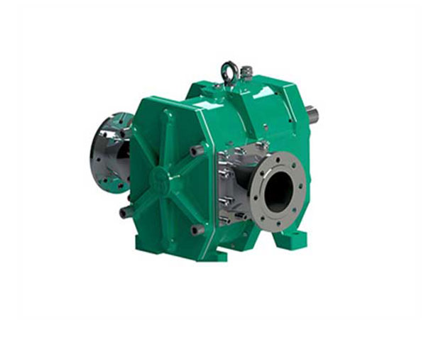 轉(zhuǎn)子泵 轉(zhuǎn)子泵